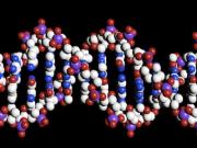 В Ростове состоялась научная конференция