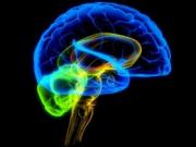 Ученые научились получать изображение сновидений