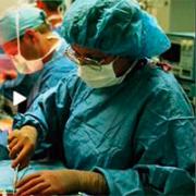 Рост донорства органов в Великобритании
