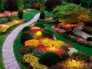 Лучшие курсы ландшафтного дизайна