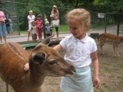 В столице СКФО появится свой контактный зоопарк