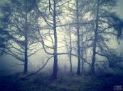 Необычная персональная фотовыставка «Городские линии» открылась в краевом центре