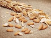 Новая печь чешского производства доставлена в Бурятию