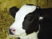 В Ставрополе появилась новая достопримечательность