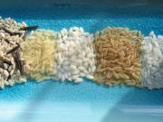 Как правильно готовить рис