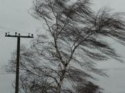 МЧС предупредило о вероятном возникновении чрезвычайных ситуаций 16-17 июня