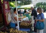 Более полумиллиона рублей потратили ставропольцы на ярмарках выходного дня