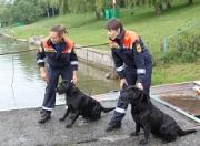 Четвероногие спасатели из Ставрополья получили золото и серебро на соревнованиях СКФО