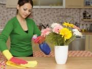 Выбор домашнего персонала