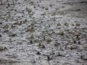 На Ставрополье объявлено штормовое предупреждение