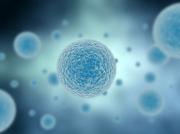 На Земле найден гигантский инопланетный вирус