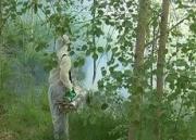 В Ставрополе продолжили борьбу с клещами и комарами