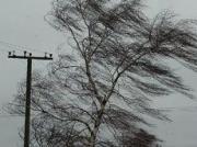 На Ставрополье ожидаются грозы с градом и шквалом