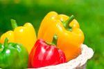Болгарский перец - очень полезный овощ!