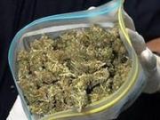 За сутки на Ставрополье пресечено 13 фактов незаконного оборота наркотиков