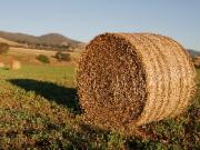 Сельхозпредприятия Башкирии заготавливают сено