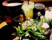 Народная медицина – лучший друг животных