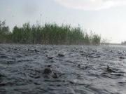 На&nbsp;Ставрополье возможны ЧП&nbsp;из-за поднятия уровня воды реки Кубань