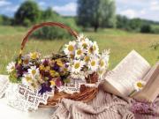 Использование морской соли в косметических целях