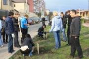 Ставропольские судебные приставы заложили свою аллею