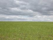 Стоимость Кузбасской земли падает