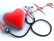 Приставы забрали за долги dvd проигрыватель и попугаев