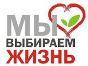 Более 20 школьных команд приняли участие в фестивале «Мы выбираем жизнь!»