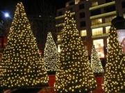 Ставропольские предприятия могут принять участие в конкурсе на лучшее новогоднее оформление