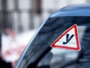 Как правильно обучить вождению