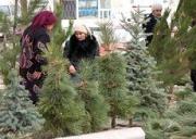 На Крепостной горе в Ставрополе прошла новогодняя ярмарка