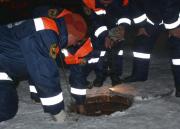 Спасатели вытащили бездомную собаку из канализационного колодца