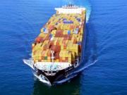 Контейнерные перевозки от «Витта-Транс»