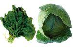 Что полезнее - капуста или шпинат?