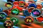 Необходимость минералов и макроэлементов в повседневной жизни
