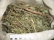 На Ставрополье пресечена деятельность группы наркоторговцев