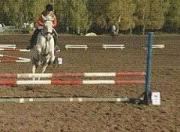 Конные соревнования пройдут в Ставрополе 31 мая