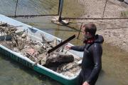 Водолазы завершают очистку дна ставропольских водоемов
