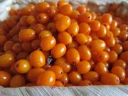 Чем полезна облепиха