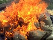 Полицейские уничтожили более тонны наркотических веществ