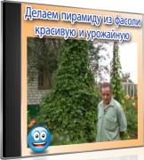 Делаем пирамиду из фасоли - красивую и урожайную (2014) WebRip