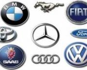 В Михайловске задержаны похитители автомобильных эмблем