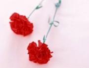 Председатель Думы СК выразил соболезнования в связи с катастрофой в московском метро