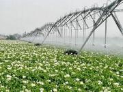 На Ставрополье работают над совершенствованием системы мелиорации