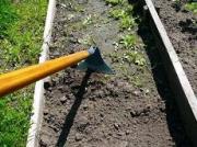 В Изобильненском районе задержана женщина, напавшая с тяпкой на соседа