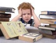 Краевые депутаты решат, читать ли первоклашкам «Хоббита» и «Маленького принца»