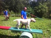 Ставропольские кинологи  представят СКФО на всероссийских соревнованиях