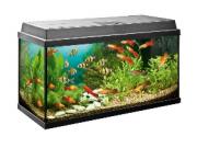 aquatandem.ru – возможность приобрести аквариум угловой