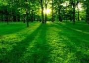 Масштабная экологическая акция пройдет в начале октября  в Ставрополе