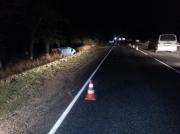 Пятеро детей пострадали в ДТП в Будённовском районе