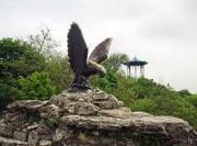 Сергей Меликов: Проблемы на КМВ связаны с попустительством со стороны власти